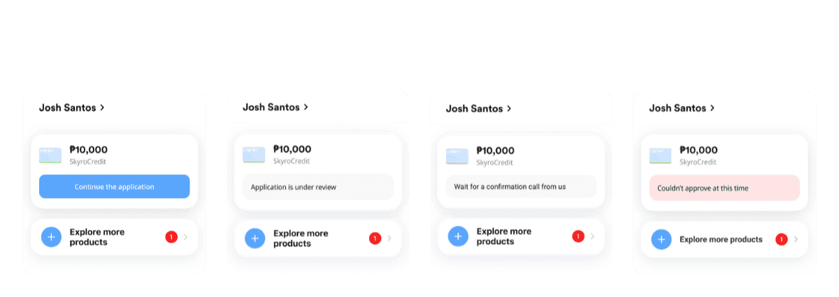 SkyroCredit application status